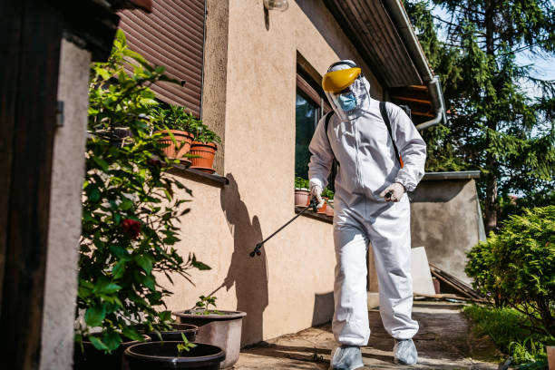 Best Wasp Removal Services  in Northford, CT